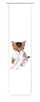 Preview: Träumli Katzenbaby, Flächenvorhang Einzel